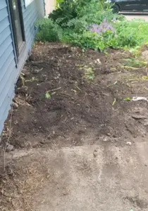 Freshly cleared and turned soil garden bed along the side of a house, with a purple flowering shrub still standing